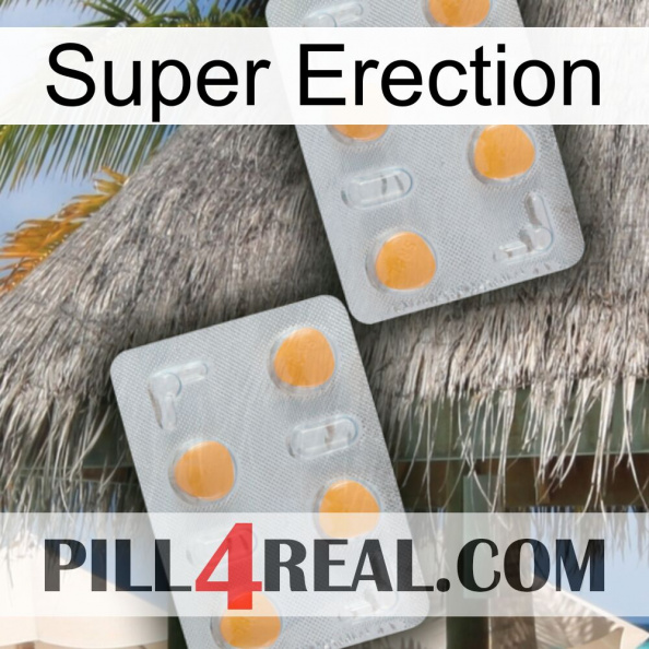 Super Erection 25.jpg